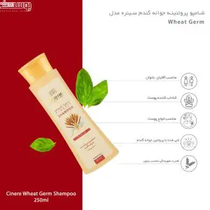 شامپو پروتئینه جوانه گندم سینره