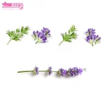 شامپو ضد ریزش فال رزیست الیو 3