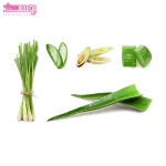 شامپو متعادل کننده ری بالانس الیو 3