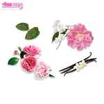 مام رول دئودورانت فنتستیک الیو 3