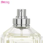 عطر مردانه سیلور زیفوید 4