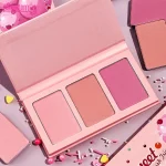 پالت رژگونه سوئیت چیکز شیگلم رنگ Enamored 5